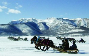 festival, cultural.qxp