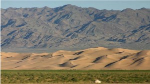 festival, cultural.qxp