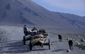 festival, cultural.qxp