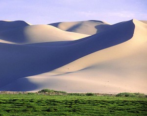 festival, cultural.qxp