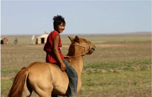 festival, cultural.qxp