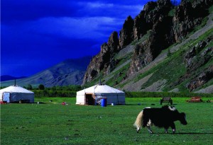 festival, cultural.qxp