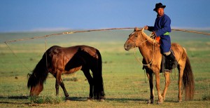 adventure, wild, beyond.qxp