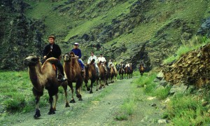 adventure, wild, beyond.qxp