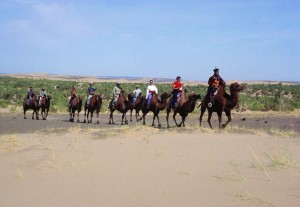 adventure, wild, beyond.qxp