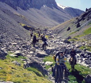 adventure, wild, beyond.qxp