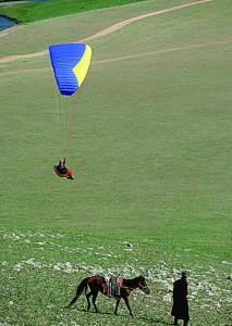 adventure, wild, beyond.qxp