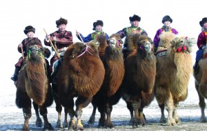 festival, cultural.qxp